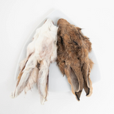 Grand Valley Quail - Rabbit Head with Fur